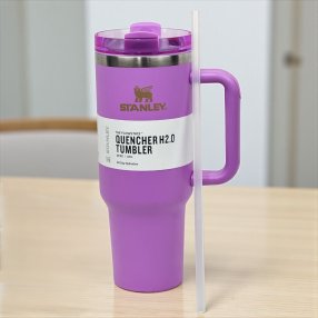 Termo premium stanley color liso Morado