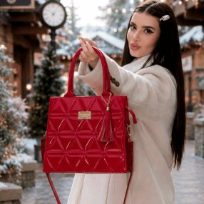 Bolsa Dama Estructurada Acolchada 30x12x27 cm